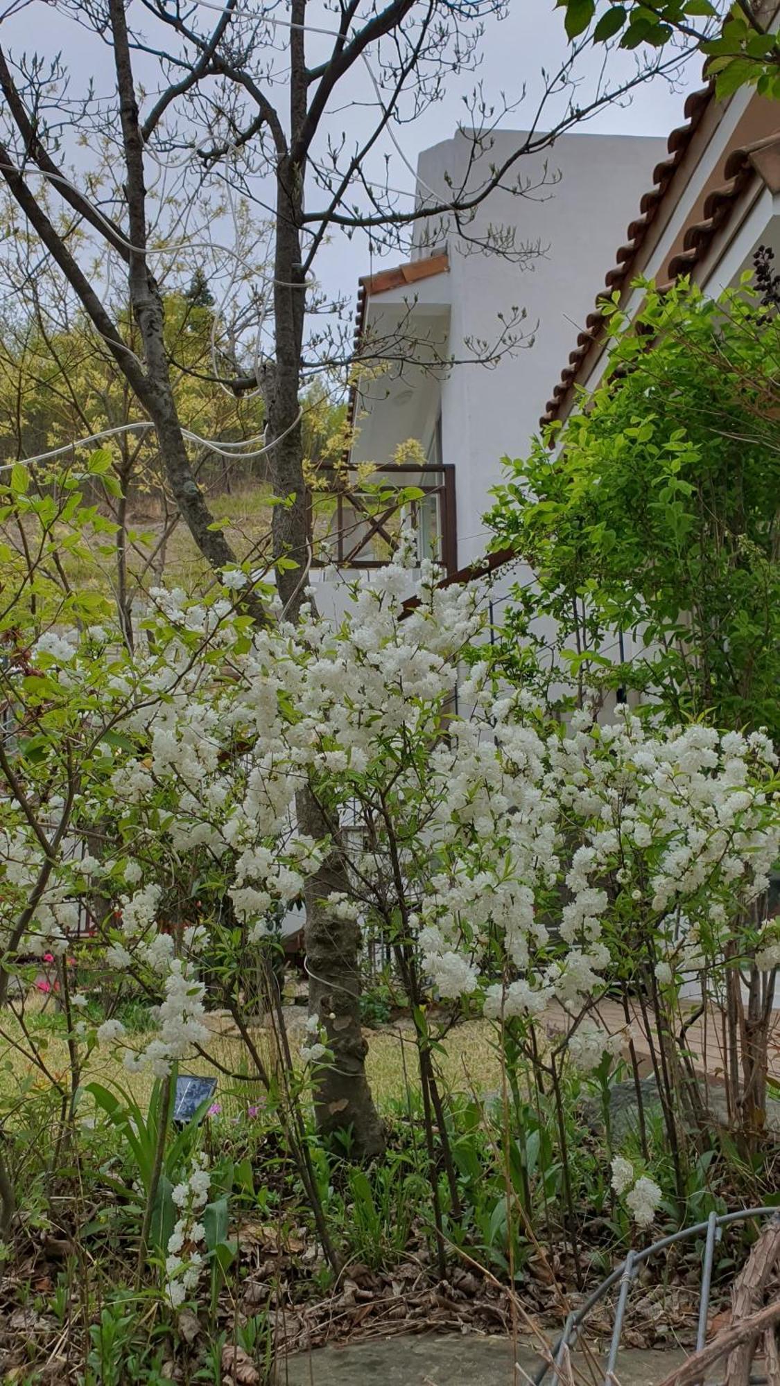 Saint Paul De Vence Villa Damyang Cameră foto