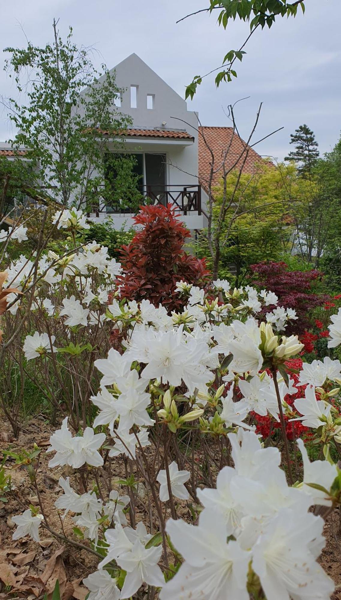 Saint Paul De Vence Villa Damyang Cameră foto