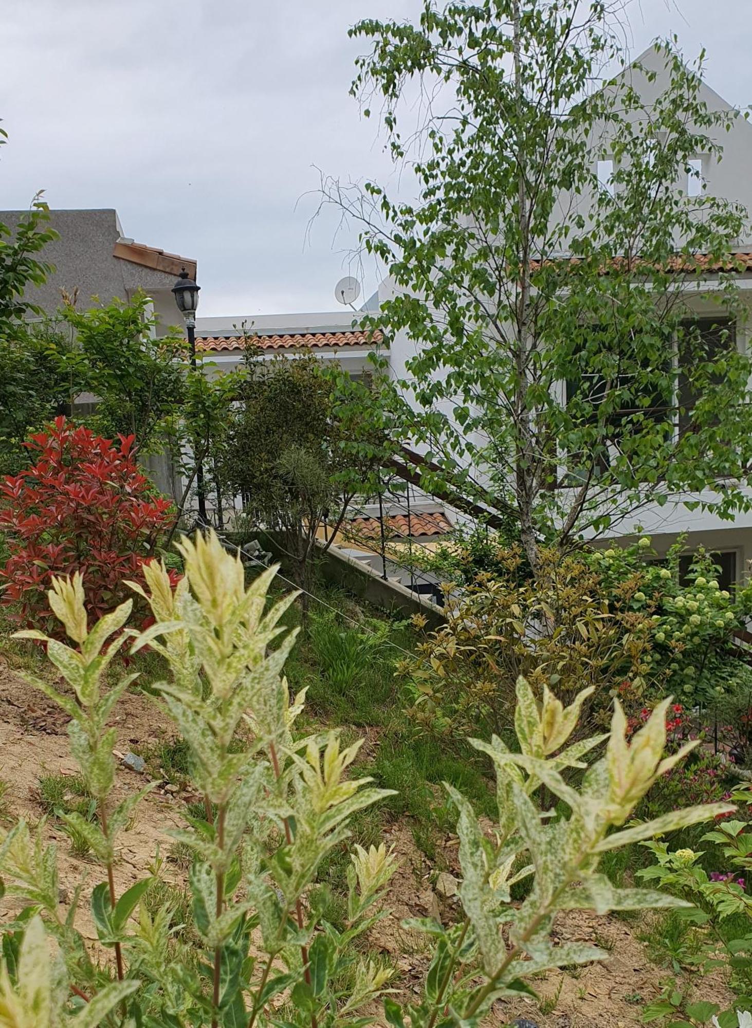 Saint Paul De Vence Villa Damyang Cameră foto