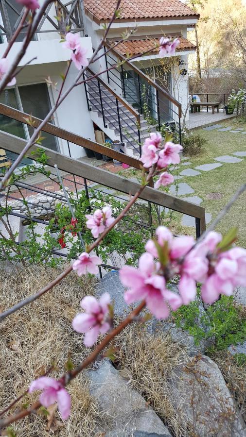 Saint Paul De Vence Villa Damyang Exterior foto